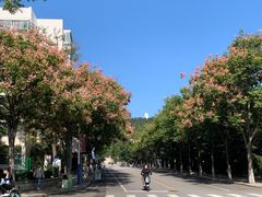 -山东大学(威海校区)