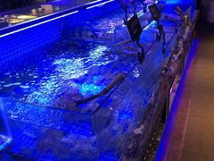 -渔民船说·北塘海鲜·天津菜·海肠捞饭(北塘古镇店)