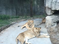 -北京野生动物园