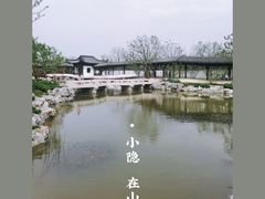 -上海滨江森林公园