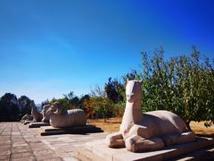 -北京十三陵国家森林公园蟒山景区