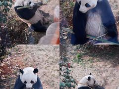 -济南野生动物世界