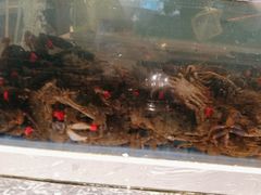 -一方渔歌蒸汽海鲜自助(文化路万达广场店)