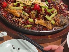-老板恋上鱼(荣盛广场店)