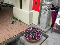 -玖味(老工人西路店)