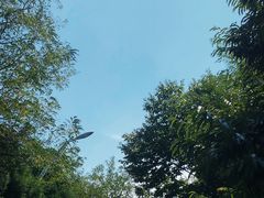 -日照海滨国家森林公园