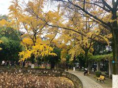 -四川大学(华西校区)