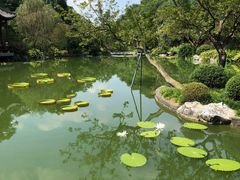 -云溪植物园