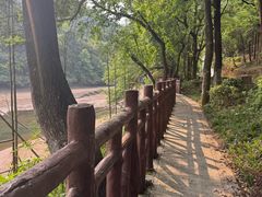 -广州市石门国家森林公园