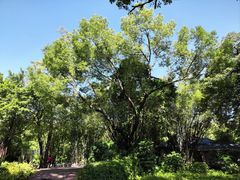 -晓港公园