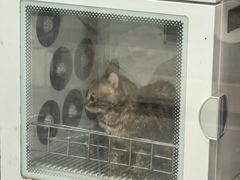 -宠福鑫康馨动物医院·骨科·眼科