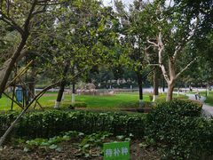 -常州古运河南大街文化旅游区-人民公园