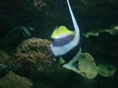 -蓬莱欧乐堡海洋极地世界