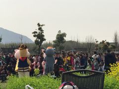 -田园东方蜜桃村的田野营地