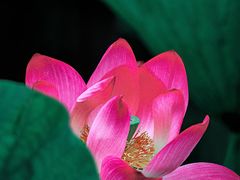 -陶然亭公园