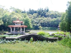 -深圳仙湖植物园