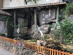 -观澜山水田园