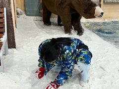 -世界之窗阿尔卑斯冰雪世界