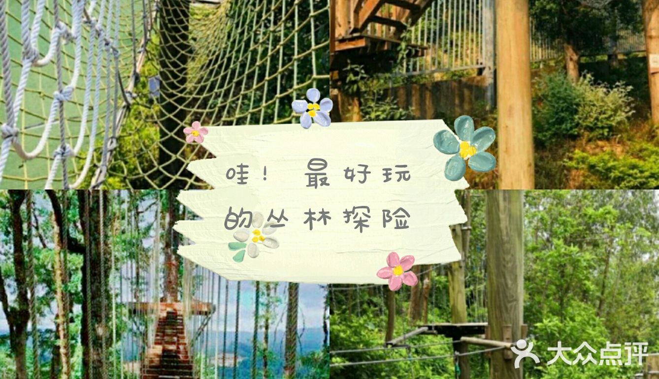 丛林里的探险，谁才是最勇敢的人？