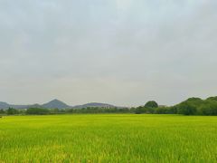 -良渚古城遗址公园