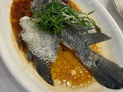 -渔民新村(番禺总店)