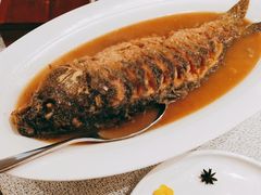 红烧黄河大鲤鱼-阿庄新豫菜(航海东路店)