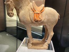 -隋唐大运河文化博物馆