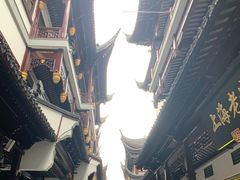 -绿波廊(豫园店)