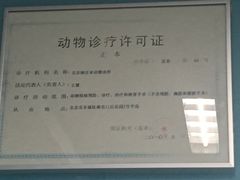 -纳吉亚猫专科动物诊疗中心(蒋宅口分院)