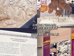-北京周口店北京人遗址博物馆