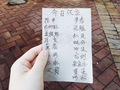 -蛇口康乐快餐鱼仔档(翠苑小区店)