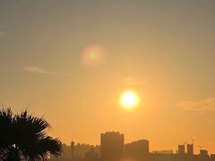 -中澳友谊花园