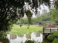 -龙头寺公园