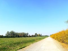 -汉长安城未央宫国家考古遗址公园