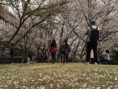 -浙江大学(玉泉校区)
