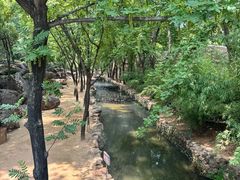 -红嫂家乡旅游区