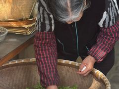 -杭州西湖风景名胜区-满觉陇四眼井