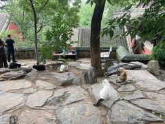 -闻道食府烙饼卷带鱼(原车耳营店原大觉寺店)
