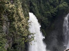 -九鲤湖风景区