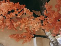 -春天来了(印象新天地店)