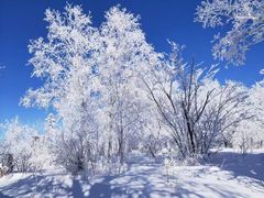 -万佳广场(台东店)