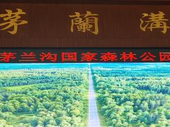 -茅兰沟国家森林公园