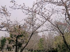 -堤角公园
