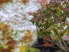 -无锡惠山寺