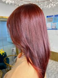-潘多拉Hairsalon