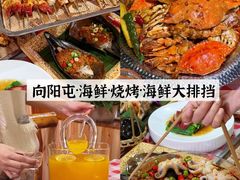 -日照海滨国家森林公园
