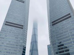 -翡翠36餐厅(浦东香格里拉店)