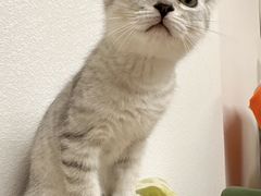 -来菜·湖北头牌藕汤(武商MALL众圆店)