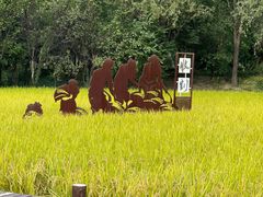 -北坞公园
