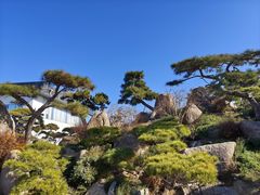 -罗红摄影艺术馆